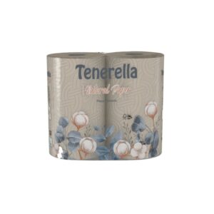 Essuie Tout 2 Rouleaux 3 plis 80 feuilles x10