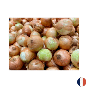 Oignon jaune 60/80 10 kg