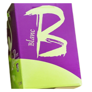 Pays d’OC Blanc Petit Chaumont BIB 5L