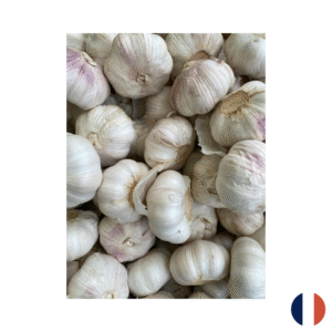 Ail blanc sec 5 kg