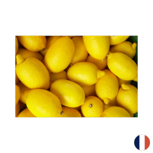 Citron Sicile 6 kg