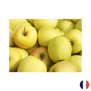 Pomme golden 13 kg