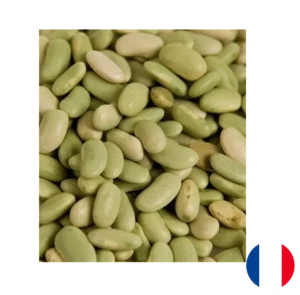 Flageolets verts BIO France 5kg